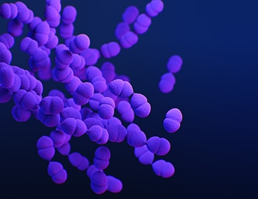 Medical illustration of drug-resistant Streptococcus pneumoniae