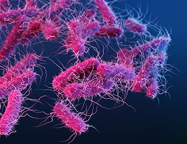 Medical illustration of ESBL-producing Enterobacterales