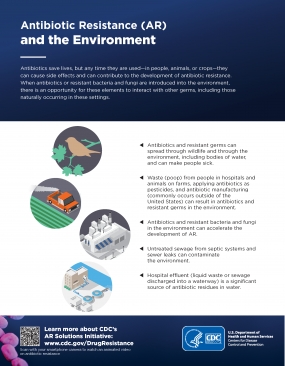 Antibiotic Resistance (AR) and the Environment