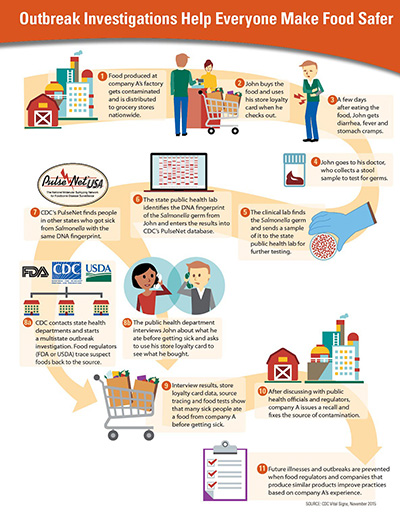 Outbreak investigations help everyone make food safer infographic