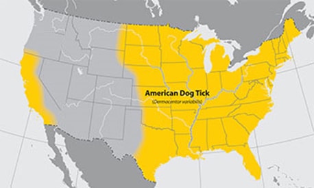 Map of the U.S. showing where American dog ticks can be found. They can be located in the eastern half of the U.S. and California.