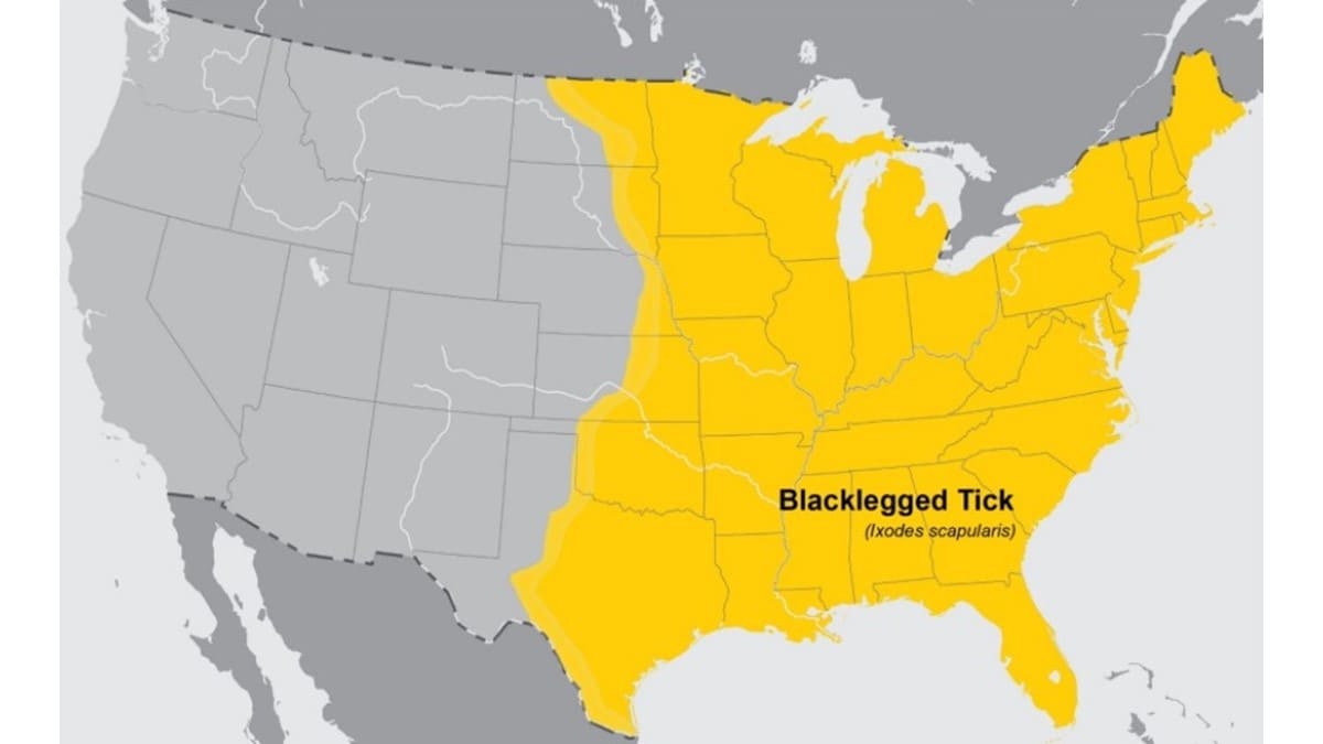 Map of the United States highlighting the distribution of blacklegged ticks.