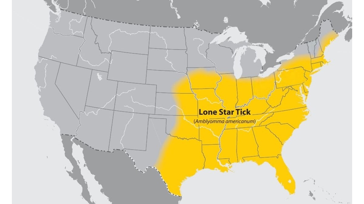 Map of the United States with the range of the lone star tick highlighted.