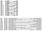 Thumbnail of Alignment of the amino acid and corresponding nucleotide sequence of each VR2 family “prototype.”