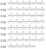 Thumbnail of Comparison of partial sequences (465 base pairs) of the S segment of Crimean-Congo hemorrhagic fever virus isolated in Mauritania. The BLAST tool was used and positions of nucleotides in the entire S segment are shown. The strain HD 168662, which is representative of human isolates obtained from this study, shows 82.1% nucleotide identity with the strain HD 49199, isolated from a human case-patient in Mauritania in 1988.
