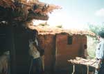 Thumbnail of Traditional Tembe dwelling in Tanzania.