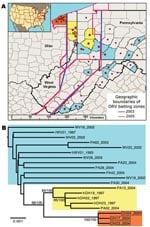 Thumbnail of Spatial and genetic distribution of sequences of the raccoon rabies virus variant (RRV) from the 2004 Ohio outbreak relative to virus found in neighboring areas. A) Distribution of RRV samples included in phylogenetic analysis of G and N gene sequences (stars) or G sequences only (circles). Colors reflect phylogenetic groups as shown in panel B. B) Maximum-likelihood tree of concatenated G and N gene sequences of RRV sampled in or near Ohio, 1987–2004. Samples from the 2004 outbreak are boxed. Bootstrap values and corresponding Bayesian posterior values (% for both) are shown for key nodes. Tree was rooted by using RRV G and N sequences from a Florida raccoon (not shown). ORV, oral rabies vaccine. Scale bar = nucleotide substitutions per site.