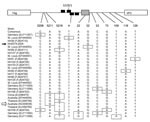 Thumbnail of Nucleotide polymorphisms in the noncoding region of WU polyomavirus (WUPyV), Connecticut, USA, 2007. Sequences spanning nt 5197 to 159 of the circular viral genome of New Haven human serum isolates and all available sequences from GenBank (all from respiratory specimens) were subjected to phylogenetic analysis. A map of the noncoding region within the viral genome is indicated at the top of the figure (not to scale). The arbitrary last (5229) and first (1) nucleotide of the circular