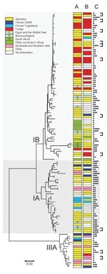 Thumbnail of Neighbor-joining phylogenetic tree of a 348-bp section of the viral capsid protein 1//2A junction region of hepatitis A virus (HAV) constructed by using the Kimura 2-parameter distance model. Place of infection (A), migration background (B), and age of case-patients (■, 0–9 y; ■■, 10–19 y; ■■■, 20–39 y; ■■■■, 40–59 y; ■■■■■, &gt;60 y) (C) are shown for each HAV isolate. Linked cases as judged by health departments are indicated by brackets. HAV subgenotypes are indicated by roman nu