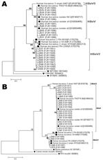 Thumbnail of Phylogenetic analysis of A) the partial nonstructural protein 1 (NS1) nucleotide sequences (412 bp) and B) the partial nucleoprotein 1 (NP1) nucleotide sequences (256 bp) of human bocavirus 2 (HBoV2), Gansu Province, People’s Republic of China. The phylogenetic trees were constructed by the neighbor-joining method using MEGA 3.1 (www.megasoftware.net), and bootstrap values were determined for 1,000 replicates. Bootstrap values &gt;50% are shown at the branching points. Human bocavir