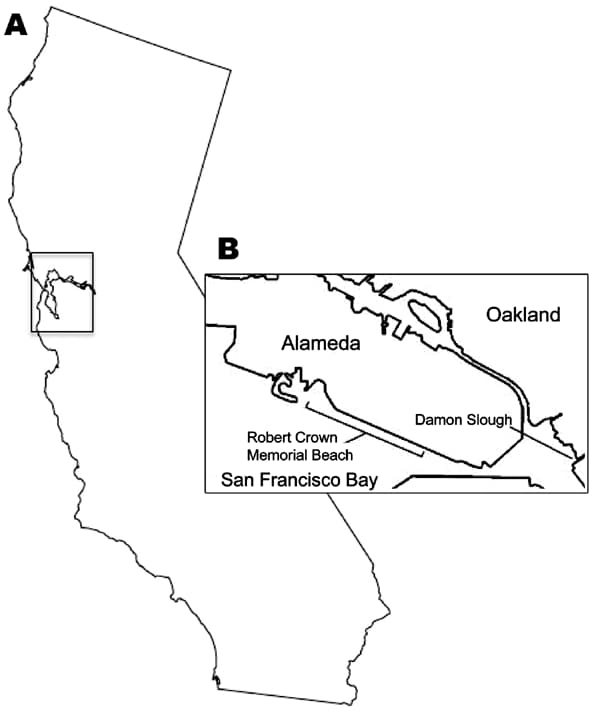 San Francisco Bay area, California, USA (A), and locations where Haminoea japonica snails were obtained (B).