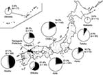 Thumbnail of Seropositivity for Japanese encephalitis virus among dogs in 9 districts of Japan, 2006–2007. Numbers in parenthesis indicate number of dogs tested. The size of each circle indicates the number of samples. Black pie chart segments indicate the proportion of seropositive dogs; white segments indicate proportion of seronegative dogs.