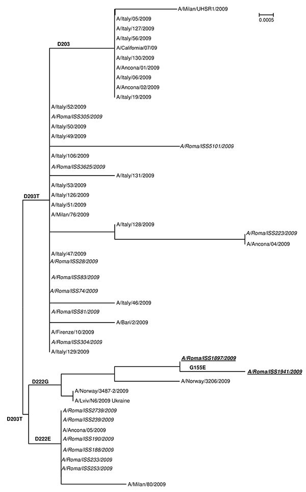 Phylogenetic relationships of hemagglutinin (HA) 1 sequences of pandemic (H1N1) 2009 viruses in Italy obtained from the National Influenza Centre (NIC)–Istituto Superiore di Sanità (ISS) and the National Center for Biotechnology Information. The NIC-ISS sequences are in italics. Isolates from the index case-patient and his father are indicated in boldface. Amino acid mutations of interest in this study are reported on the nodes. All the NIC sequences obtained in the present study were deposited