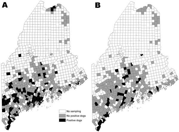 Towns where dogs were tested for seropositivity to Borrelia burgdorferi (A) and Anaplasma phagocytophilum (B) in a statewide serosurvey of domestic dogs, Maine, USA, 2007.