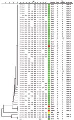 Thumbnail of Phylogenetic tree with genotypes of Coxiella burnetii of all samples in the study, the Netherlands, on the basis of 10 multilocus variable-number tandem-repeat analyses (MLVA). Repeats per locus are shown; open spots indicate missing values. NM, Nine Mile reference strain.