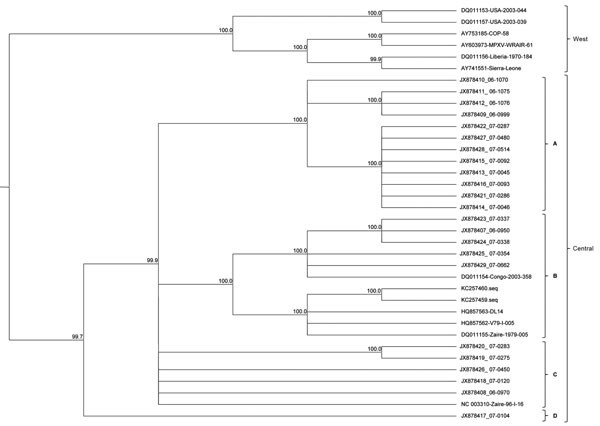 Phylogenetic analysis of whole-genome direct sequencing. Evolutionary relationships between sequenced samples and archived monkeypox virus (MPXV) sequences were determined for the central coding region sequence (MPXV nucleotide positions ≈56000–120000). A cladogram representing the topology of an unrooted Bayesian phylogenetic reconstruction is shown for samples identified by sample number and/or GenBank accession number. The Central and Western African clades and the 4 distinct lineages are ind