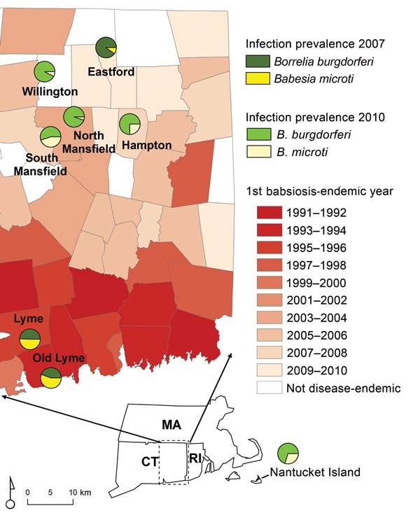 Borrelia burgdorferi and Babesia microti infection prevalence among humans and Ixodes scapularis ticks, eastern Connecticut (CT) and Nantucket, Massachusetts (MA). Shading indicates human babesiosis incidence in study towns by year in which the disease became endemic in the town (defined as the first year babesiosis cases were reported for 2 consecutive years). I. scapularis nymphal infection prevalence is shown for B. microti and B. burgdorferi in Lyme/Old Lyme in 2007 and for Nantucket and nor