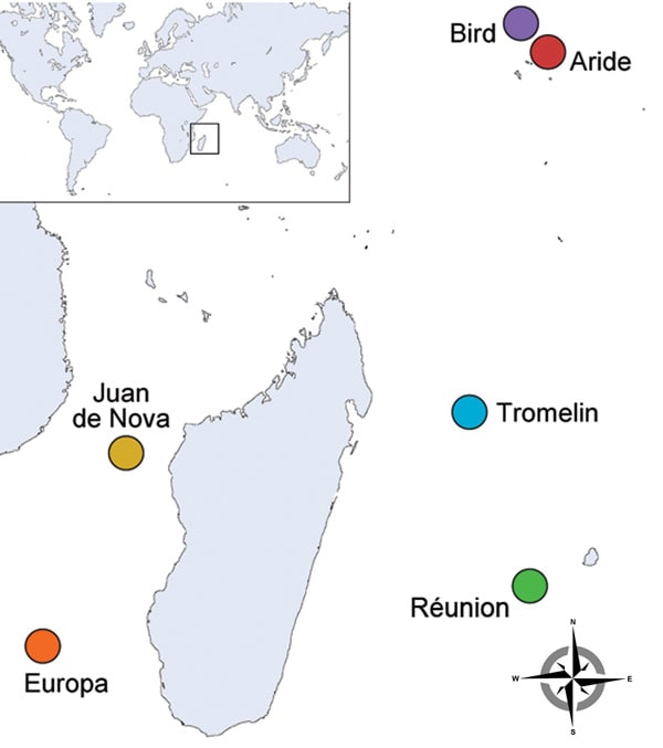 Location of western Indian Ocean islands where tick sampling was conducted among seabird colonies during 2011–2012.