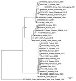Phylogenetic tree of a representative tick-borne encephalitis virus (boldface) from samples collected from a wild chamois and ticks in the Lombardy region of Italy. Tree shows the relationship between the obtained sequence of a 224-bp portion of the nonstructural 5 gene and reference sequences from GenBank (accession numbers, country, and year of isolation provided). The phylogenetic analysis was performed on the homologous sequences by the maximum-likelihood method using IQ-TREE software (http://www.iqtree.org), after alignment.