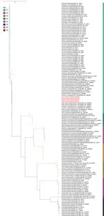 Phylogenetic analysis of neuraminidase gene sequences in study of highly pathogenic avian influenza A(H5N1) clade 2.3.4.4b virus infection in domestic dairy cattle and cats, United States, 2024. Colors indicate different subtypes. Red text indicates the virus gene sequences from bovine milk and cats described in this report, confirming those viruses belong to the N1 subtype. The neuraminidase sequences from this report had 99.52%–99.59% nucleotide identities to sequences from viruses isolated from a chicken and wild birds in 2023.