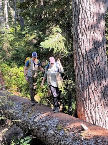 EIS officers Arran Hamlet (left) and Shanna Miko cross a fallen tree to get to a sampling site on the Pacific Crest Trail.