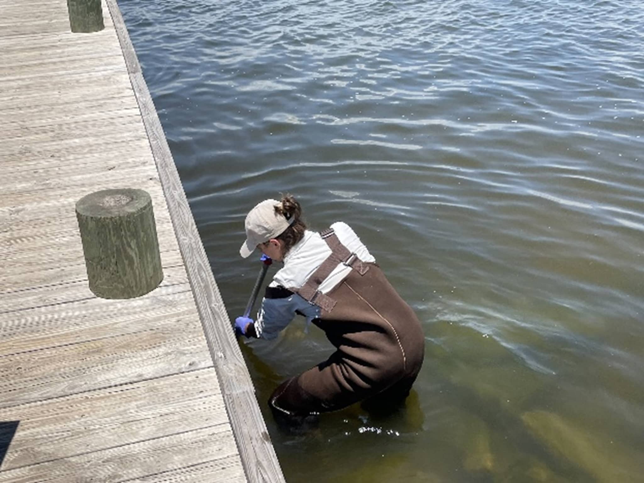 EIS officer Julia Petras collects water samples