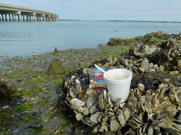 A container of clam chowder is set on a bed of oysters at Queen Sound Landing. A large outbreak of salmonellosis in early October 2017 was linked to chowder from a chili/chowder cook-off on the island. Photo courtesy of Kimberly Wright 