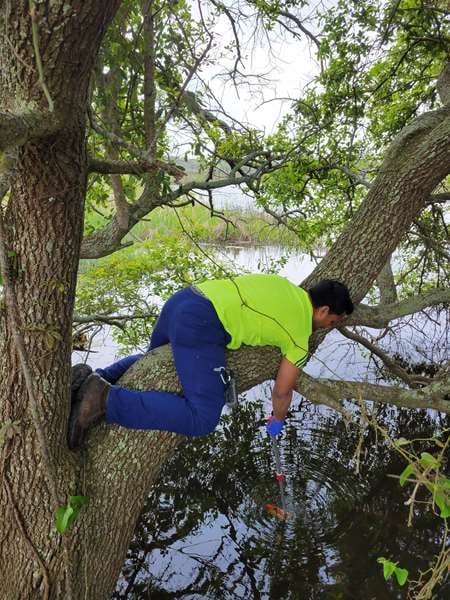 Faisal Minhaj (EIS 201) for ‘Best water samples from climbing trees’