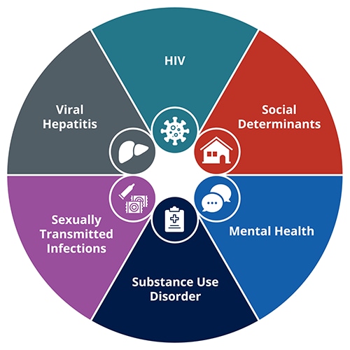This graphic shows a pie chart with six equal parts, each reflecting different, often co-occurring diseases or conditions that a syndemic approach could address through integrated services: HIV, sexually transmitted infections, viral hepatitis, mental health conditions, substance use disorder, and social determinants of health.