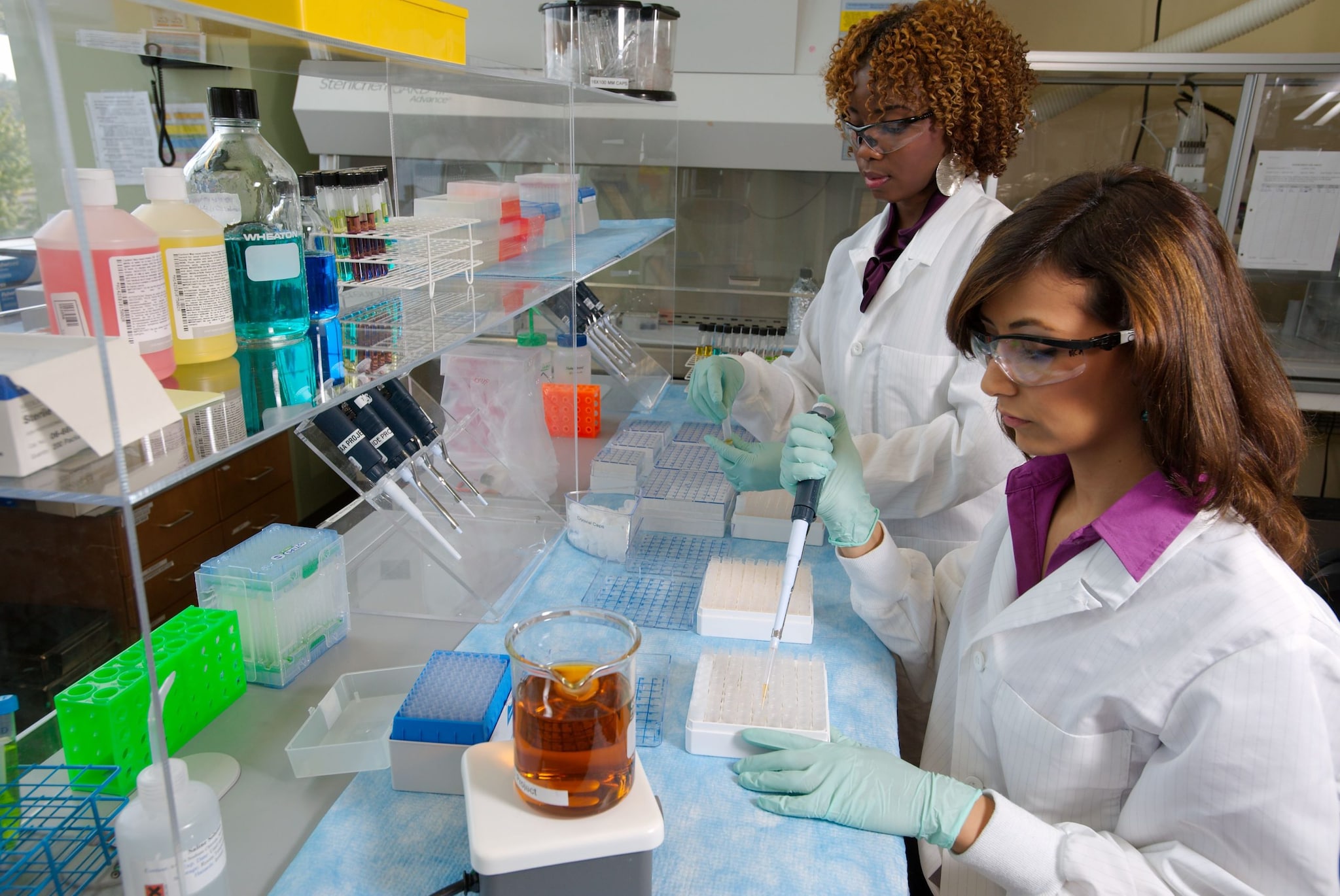 Decorative: Lab scene with female scientists