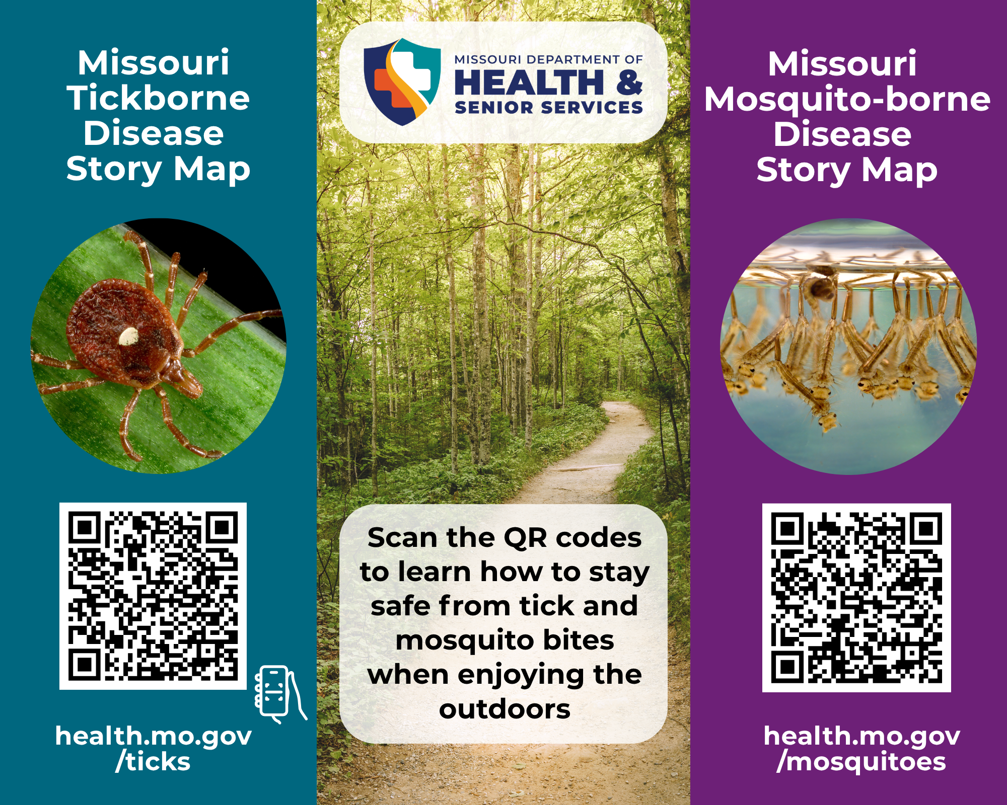 Flyer promoting Missouri's story maps on tickborne and mosquito-borne diseases.