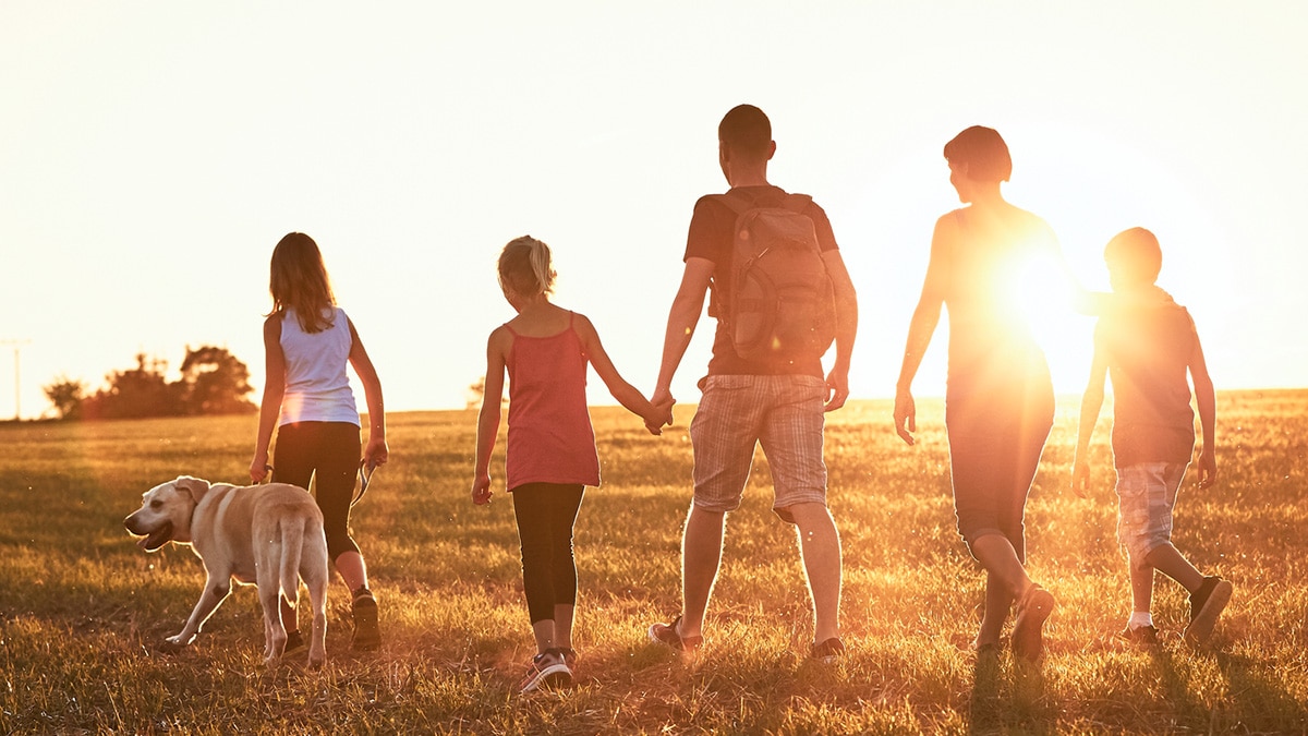 Family of five hiking with dog with sun shining brightly