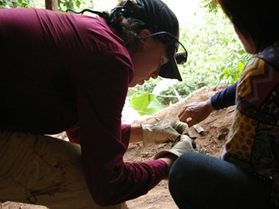 Maria Evola testing a bat for rabies in Thailand 2009