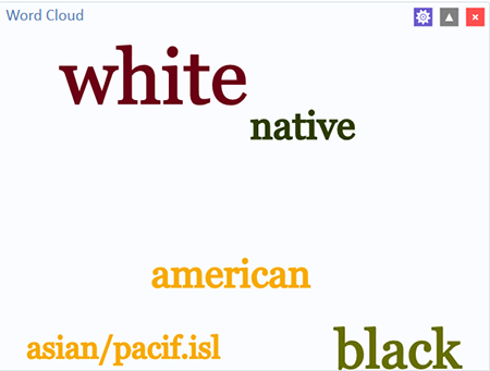 Word Cloud results