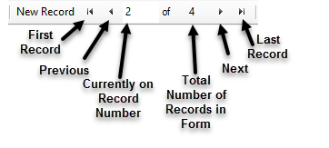 enterintro-navigation-buttons New record and record navigation buttons.