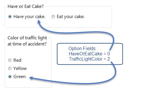 Image showing an example of a Option field in use.