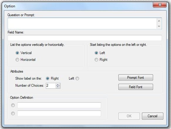 Image showing the Option Field Definition Dialog box.