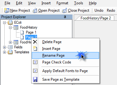 In the Project Explorer, right click the page you want to rename . Select Rename Page.