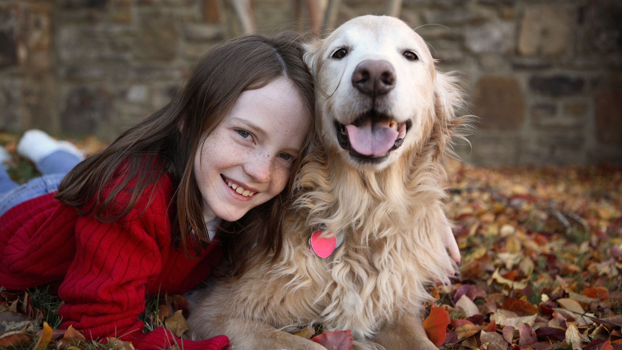 A young girl hugging a Golden Retriever dog.