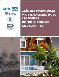 Guía del propietario y arrendatario para la limpieza de moho después de desastres.