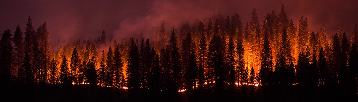 Incendio forestal activo que quema árboles en un bosque de montaña.