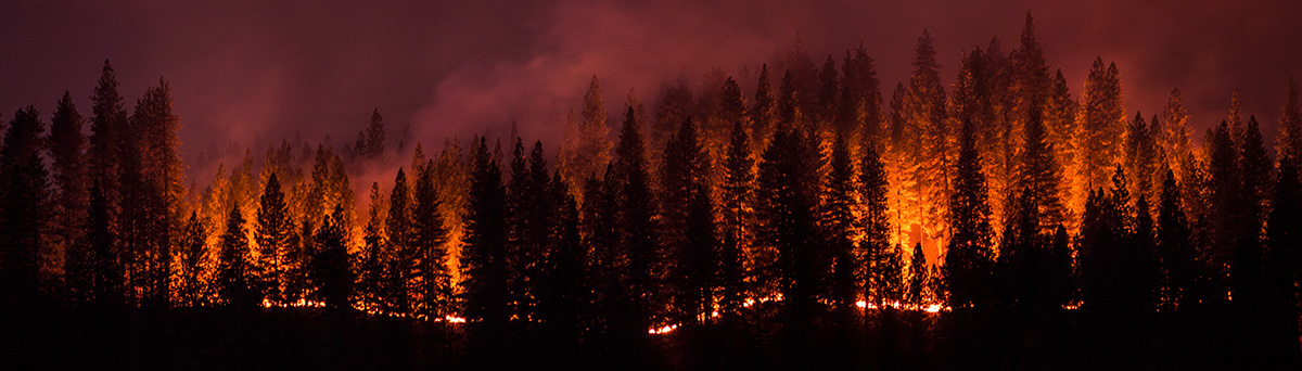header-wildfire-during-cdcwp1560353924545 Incendio forestal activo que quema árboles en un bosque de montaña.