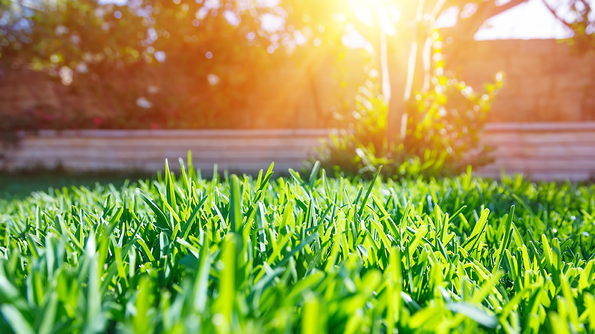 Extreme Heat and Your Health | Extreme Heat Extreme Heat and Your Health | Extreme Heat
