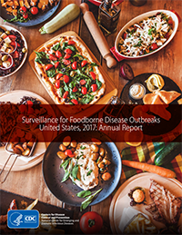 cover image of 2017 Foodborne Outbreak report
