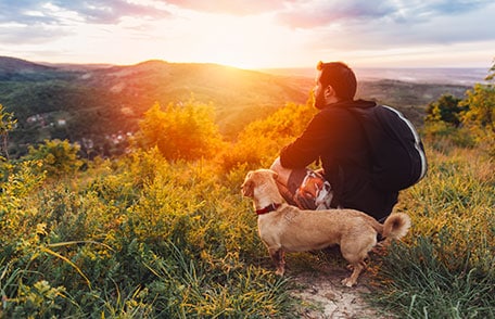 Man and dog hiking through mountains