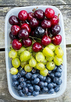 Fruit in plastic container