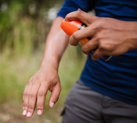Person applying insect repellent
