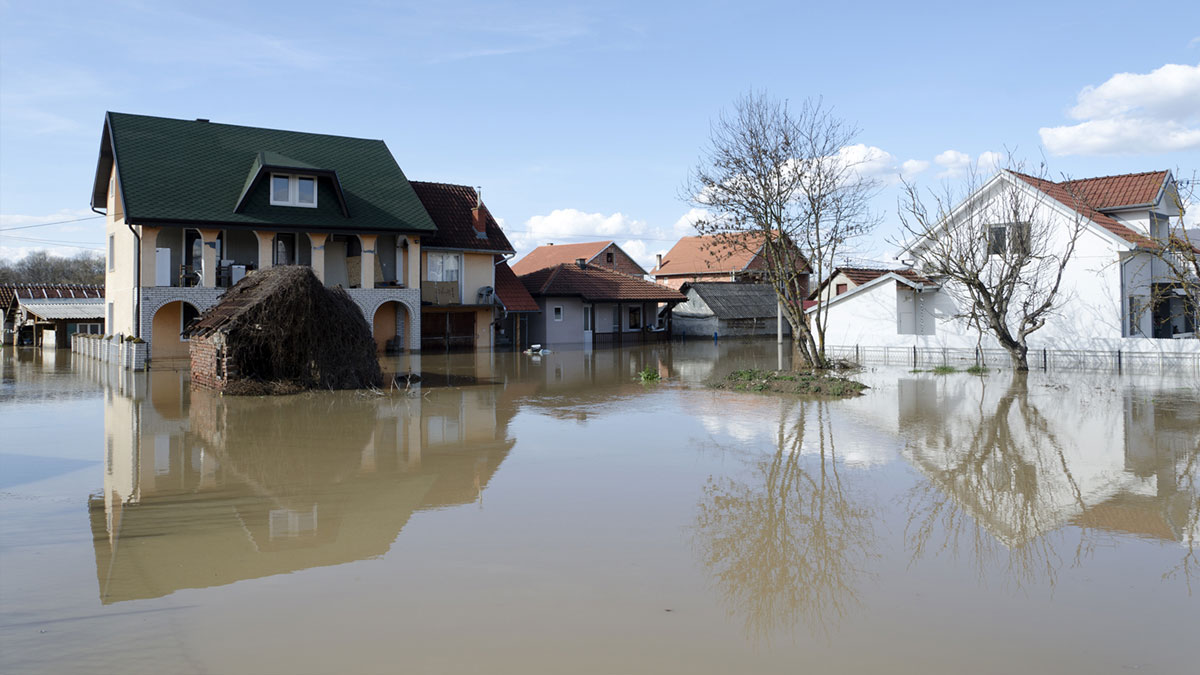 Flooded neighborhood street