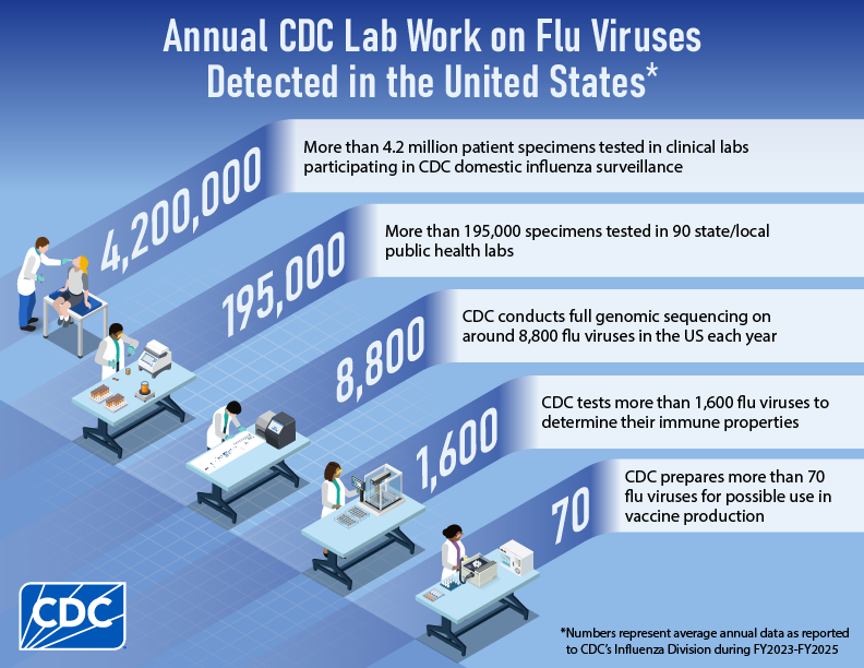 Cdc Lab Week Annual CDC Lab Work on Flu Viruses Detected in the United States | Flu ...