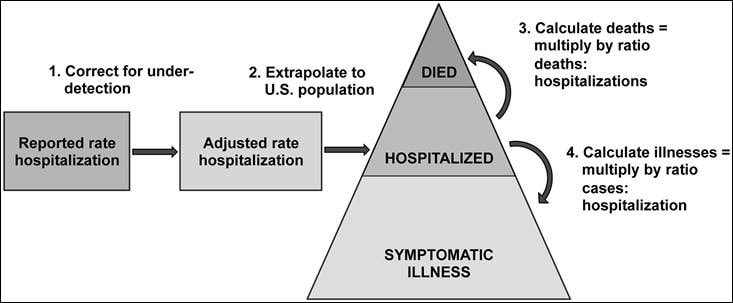 Graphic Illustration of Influenza Burden Estimates